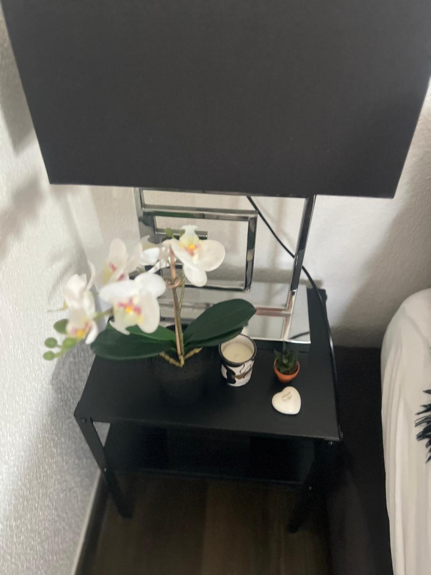 Studio Zurich Bagian luar foto