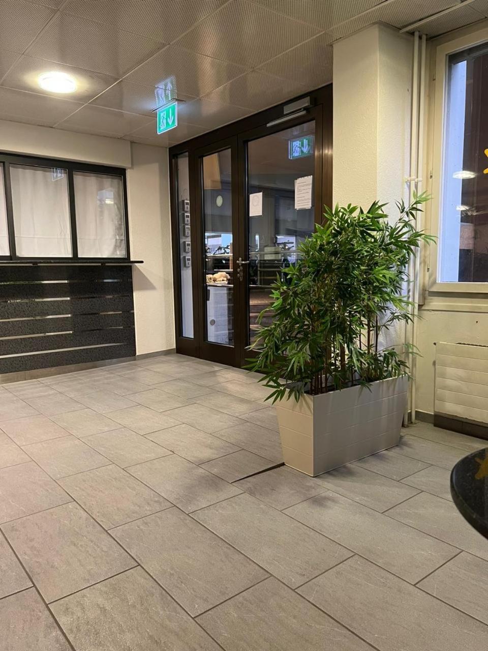 Studio Zurich Bagian luar foto